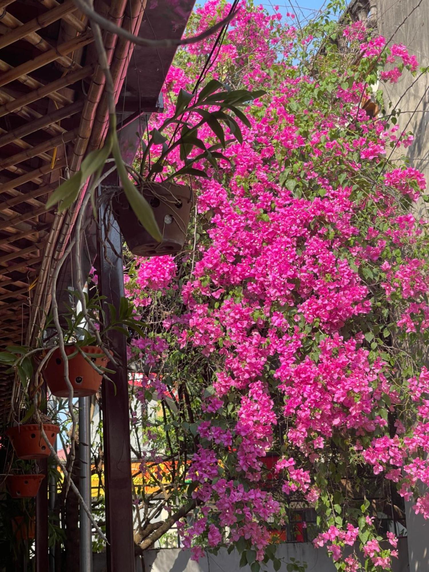 Thuy Xuyen Tam Coc Homestay Vu Lam Exteriér fotografie