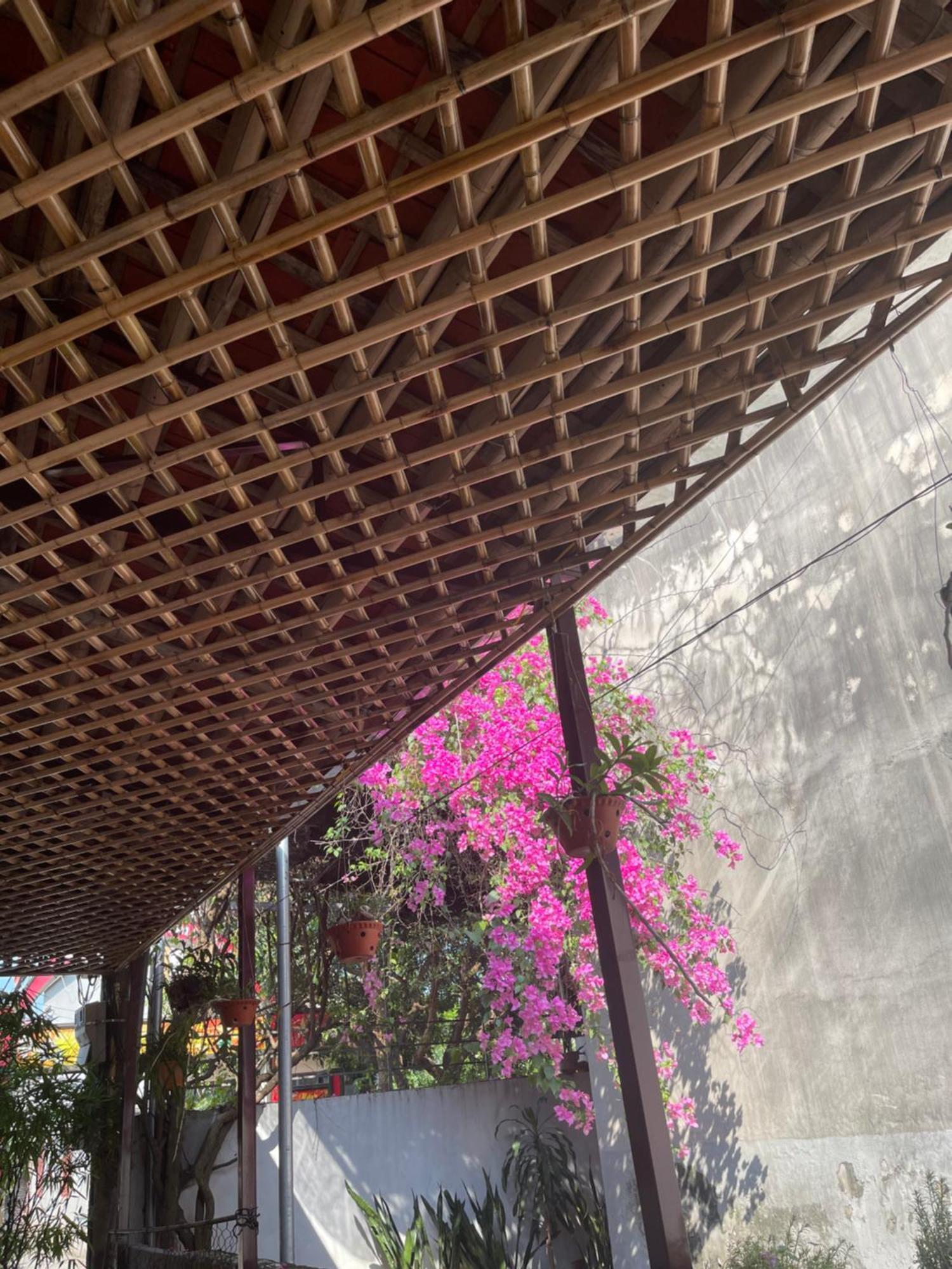 Thuy Xuyen Tam Coc Homestay Vu Lam Exteriér fotografie